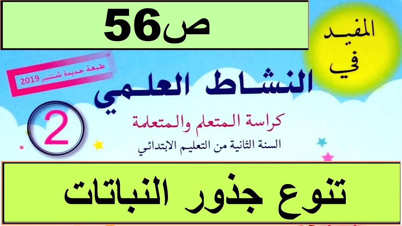 ماهي انواع الجذور و السيقان عند النباتات؟ ص56 المفيد في النشاط العلمي المستوى الثاني