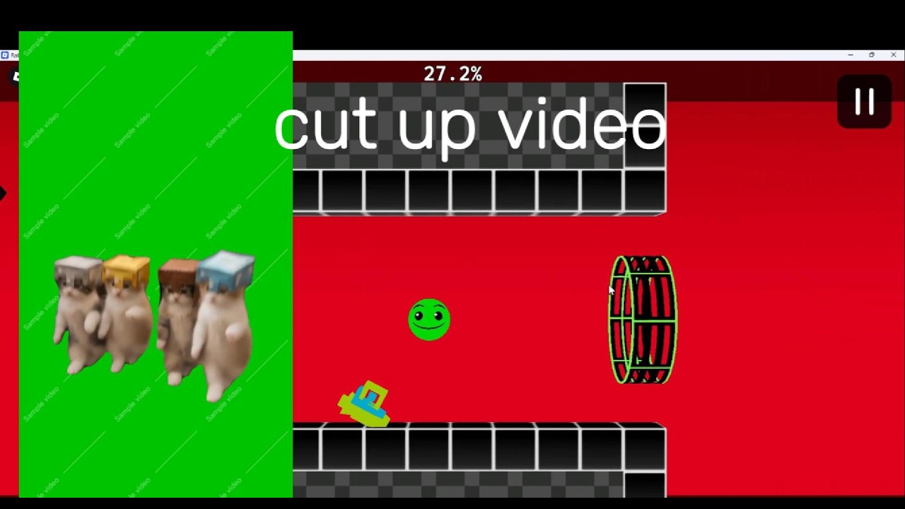 cut up vidoe