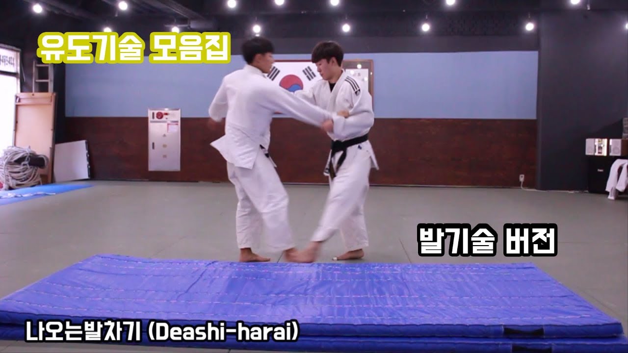 유도기술 메치기 발기술 (Judo skill, foot skill, NAGE-WAZA  Ashi-waza)[흠이 HEUM]