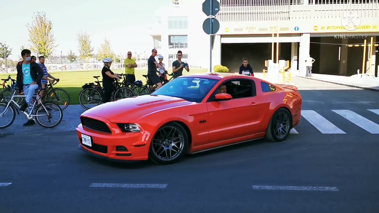 Cars & Coffee Belgrade 2021! AC Cobra 427 and more american musclecars 🔥