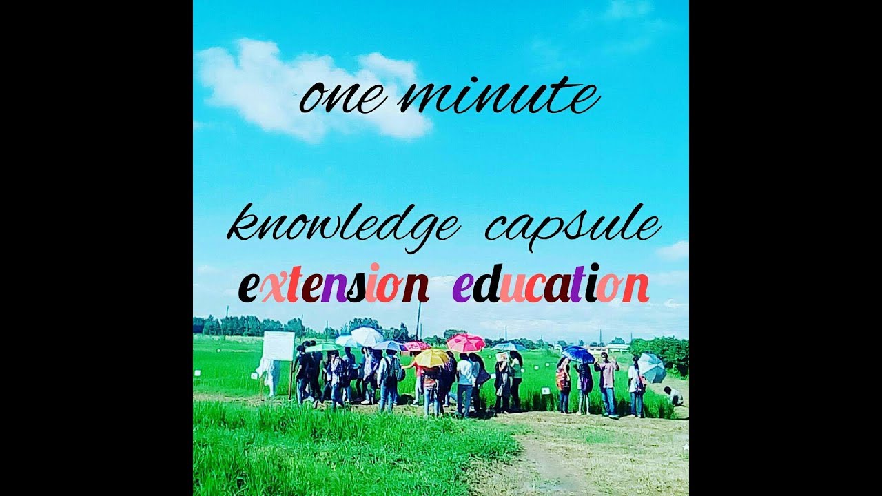 Extension education, ONE MINUTE KNOWLEDGE CAPSULE. What is extension education?