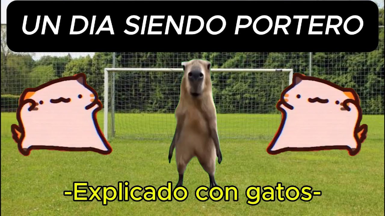 UN DÍA SIENDO PORTERO (Explicado con michis)