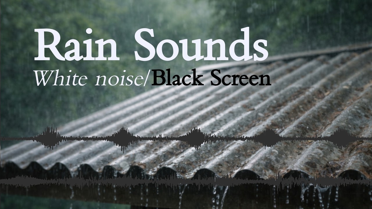 Gentle Rain on Tin Roof for Deep Sleep | Natural Rain Sounds (No Loop)