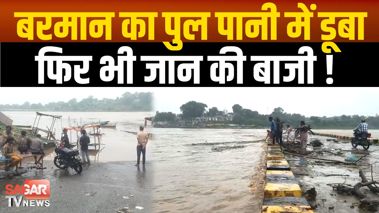 बरमान का पुल डूबा, नर्मदा उफान पर, जलाऊ लकड़ी पकड़ने जान जोखिम में डाल रहे लोग | SAGAR TV NEWS |