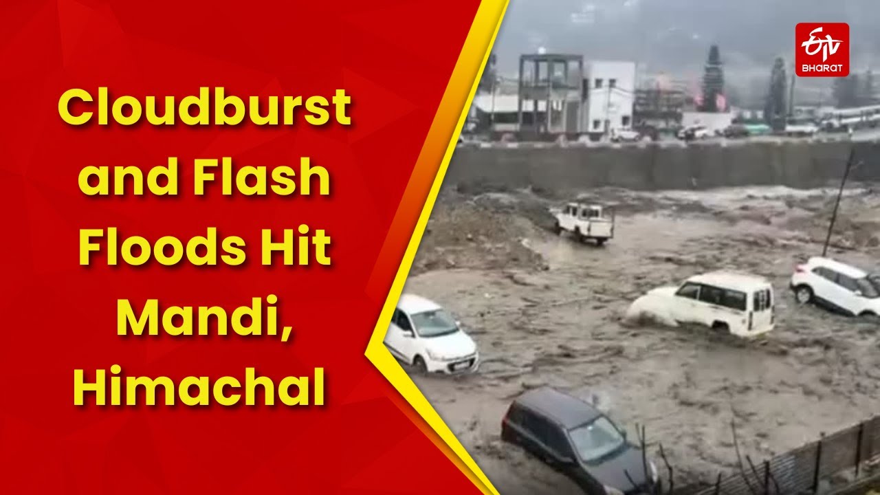 Mandi Cloudburst: Monsoon Havoc In Himachal Pradesh's Mandi, One Dead | Flash Flood | Heavy Rain