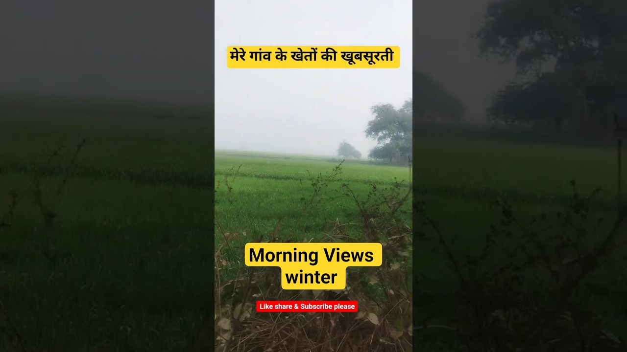 वक्त  का ये परिंदा रुका है कहाll