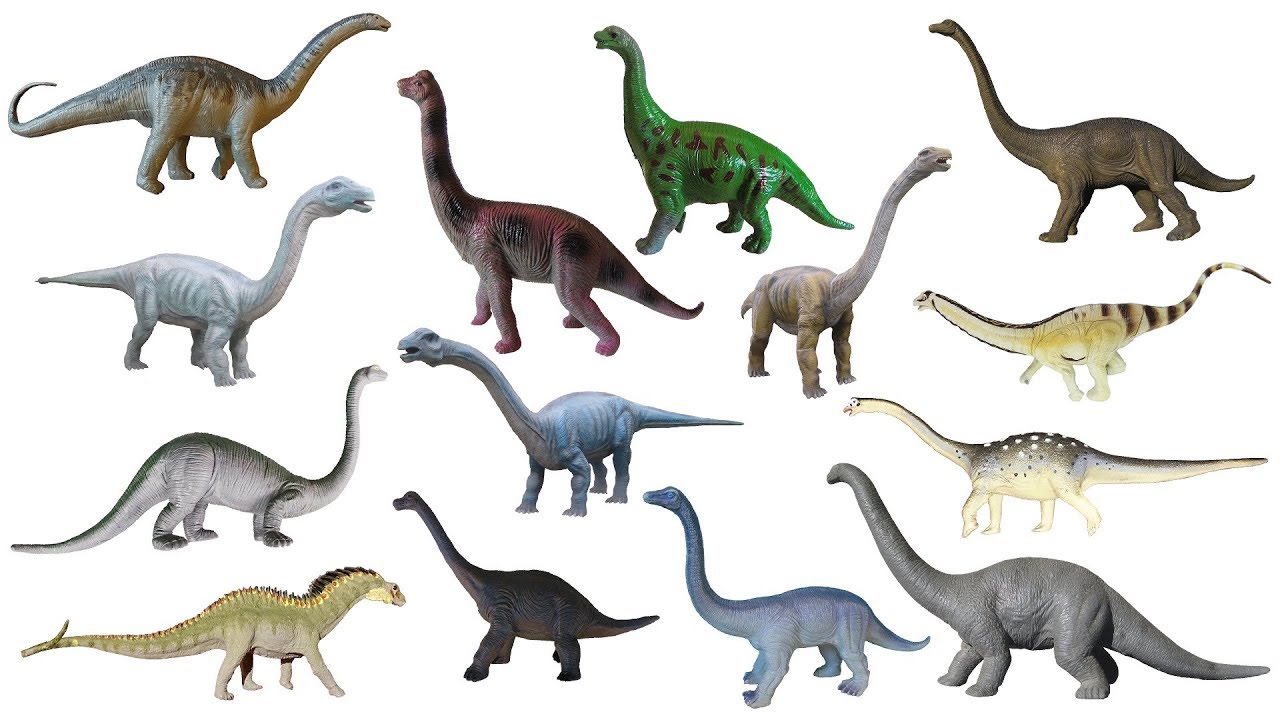 Sauropod Dinosaurs - Brontosaurus, Apatosaurus, Diplodocus - The Kids' Picture Show (Learning Video)