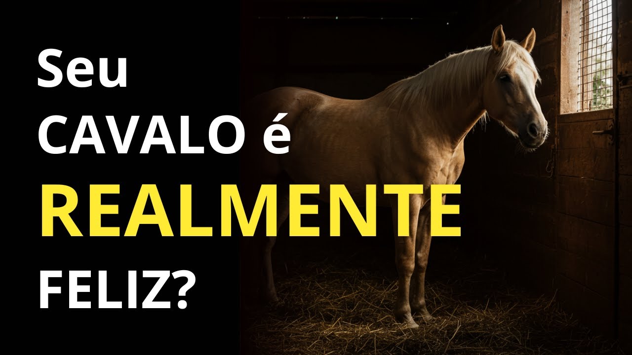 5 SINAIS de Que Seu CAVALO não está FELIZ! (Mas Ninguém Te Conta Isso!)