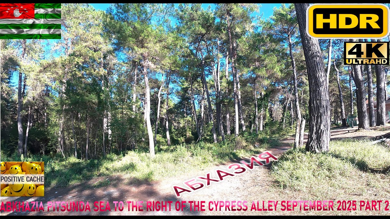 HDR 4К UHD video Abkhazia Pitsunda sea to the right of the cypress alley September 2025 part 2