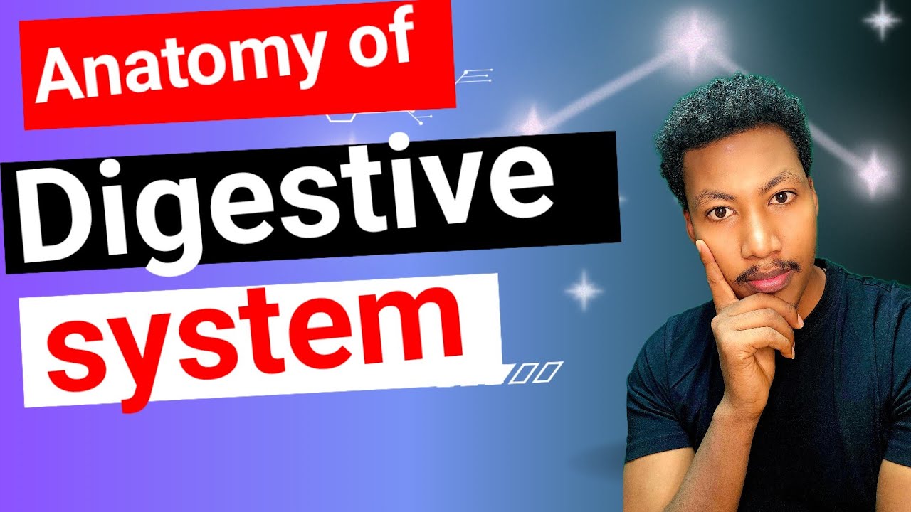 Anatomy of GIT የምግብ እንሽርሽሪት ምን ይመስላል ❓GIT #Digestive System #anatomy #ጨጓራ #አንጀት
