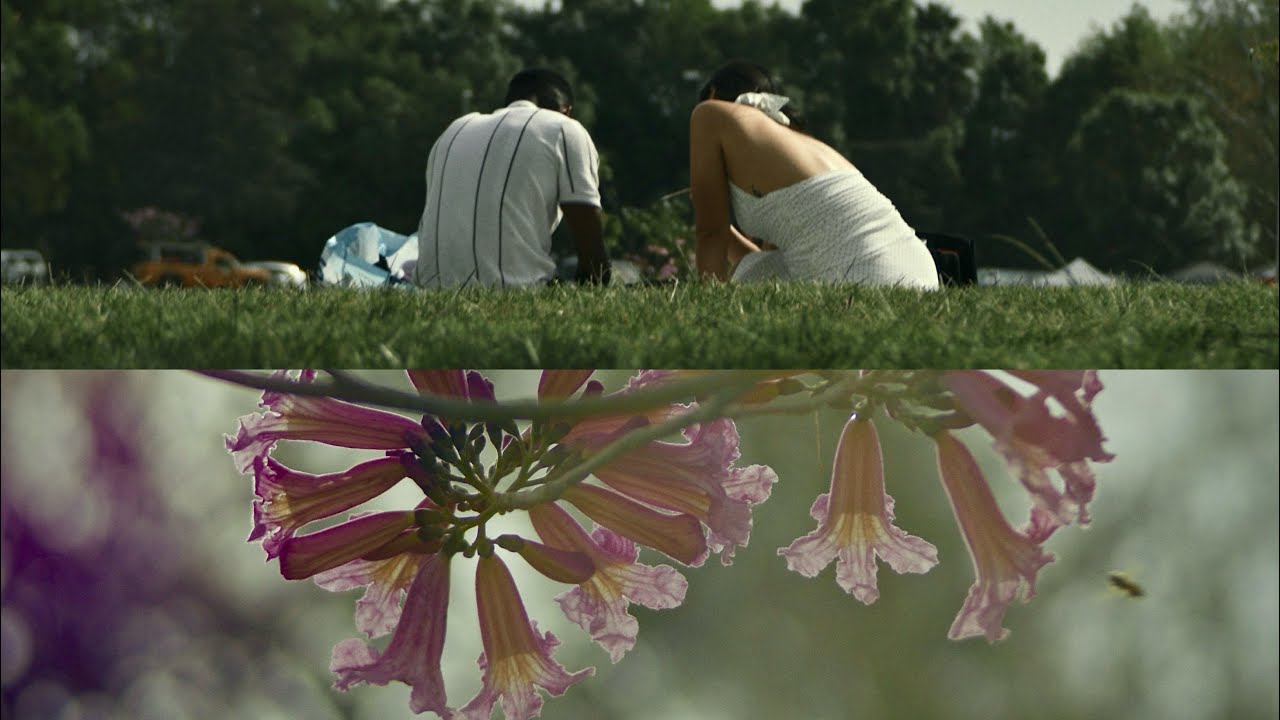 Vintage Lens Test: Vivitar 35-85mm f/2.8 + Blackmagic Pocket Cinema Camera 6K Pro