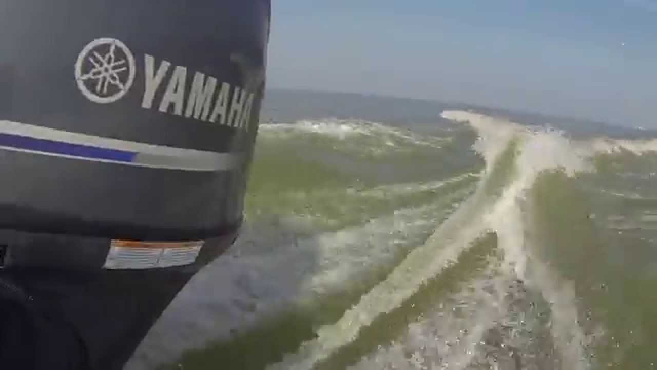 Yamaha F60 & Vieser Pamperos  ( Markermeer )