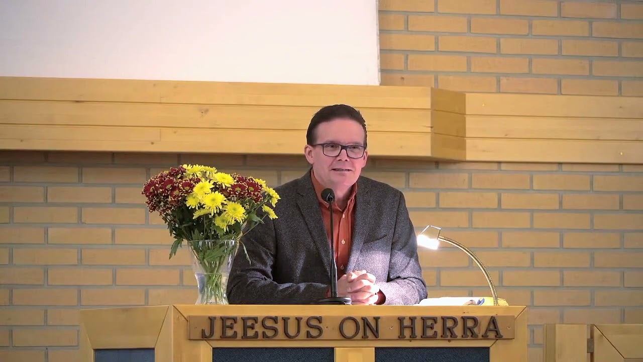Petri Vettenniemi - Jos ei ole juurta