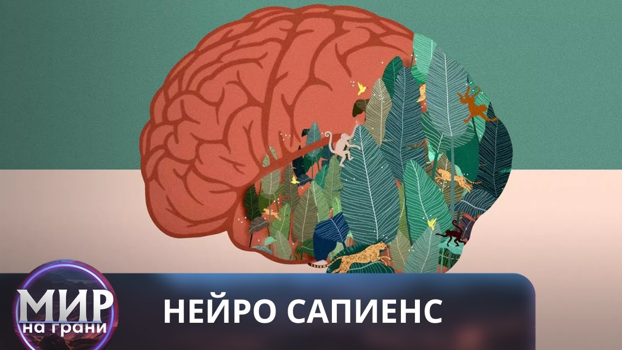 Нейро Сапиенс. Все серии. Документальный проект
