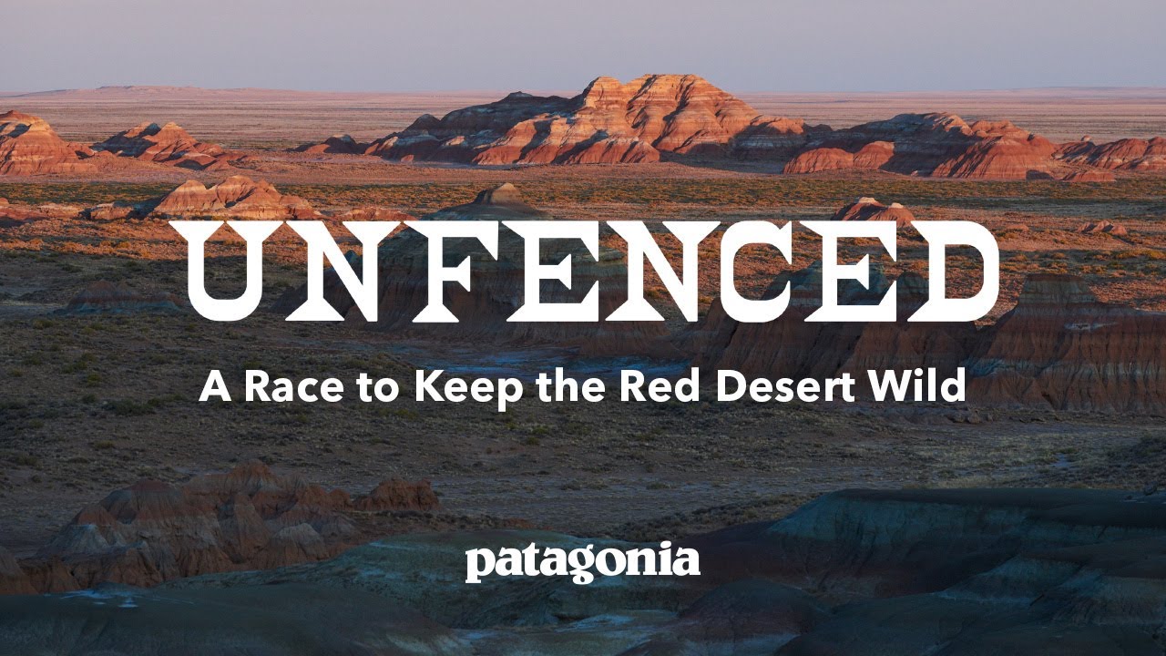 Unfenced | A Race to Keep the Red Desert Wild