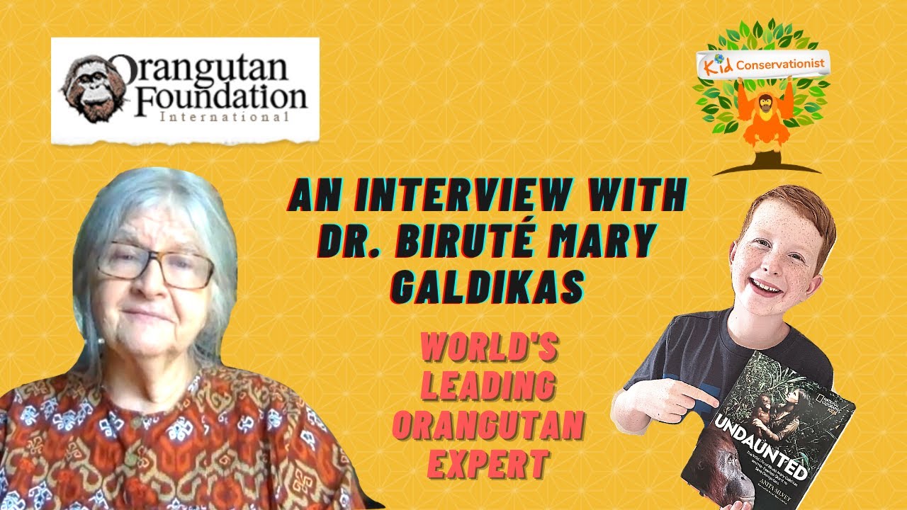 An Interview with Dr. Biruté Mary Galdikas - The World's Foremost Expert on Orangutans