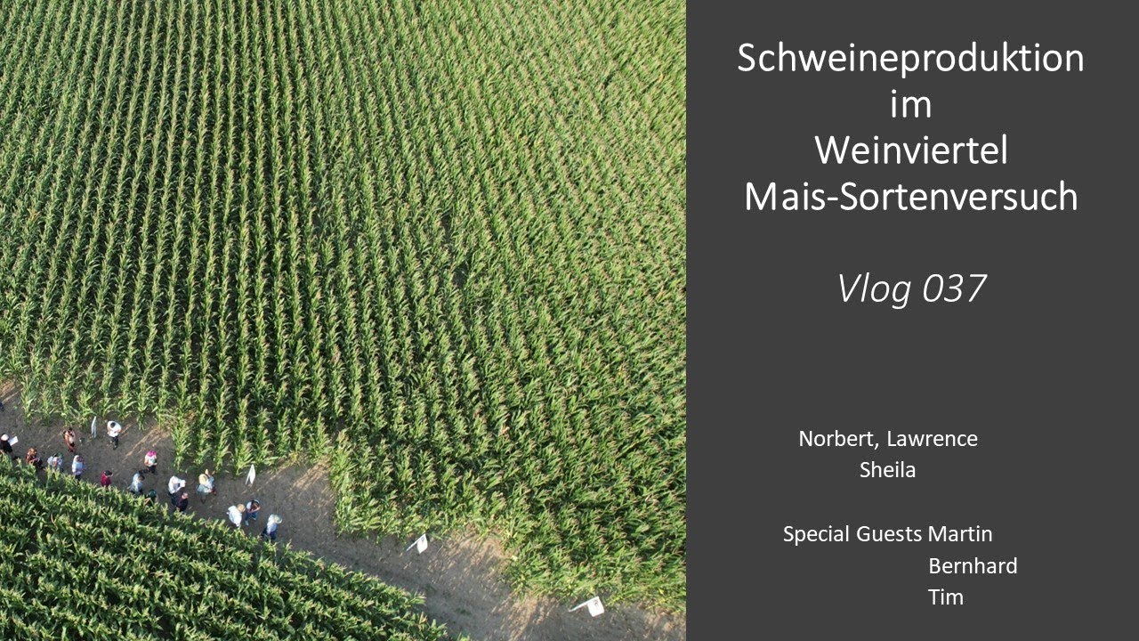 Vlog037 Sortenversuch Mais