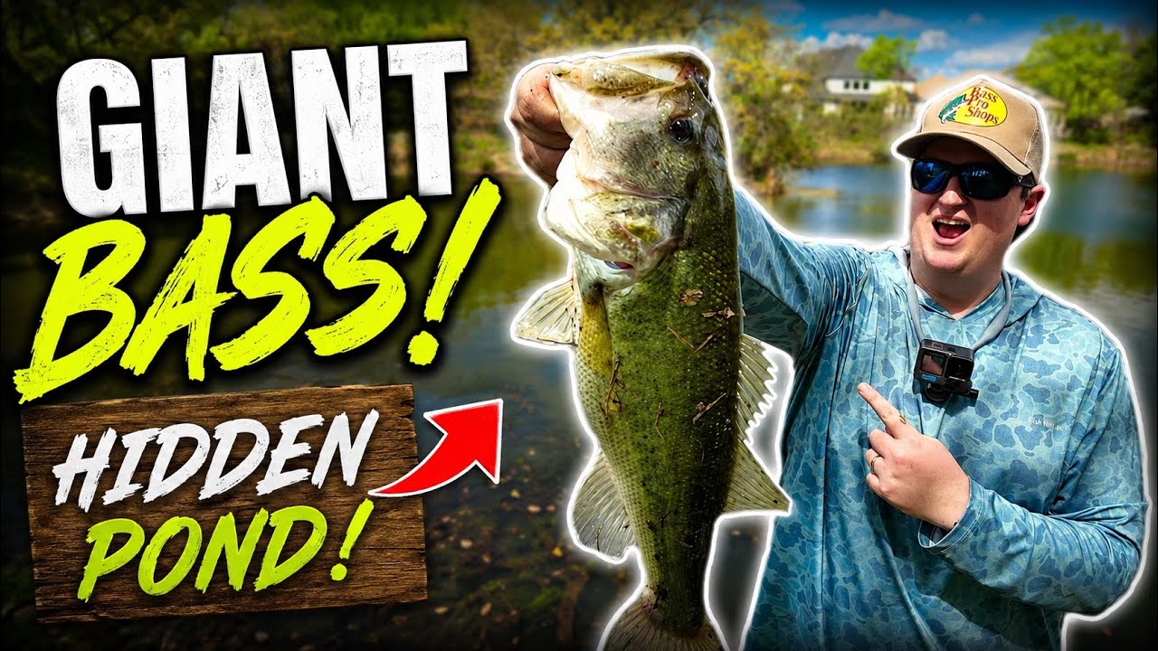 Catching BIG Bass at a Hidden Pond with the Bellows Gill! (Bass Fishing Ponds in Dallas, Texas)