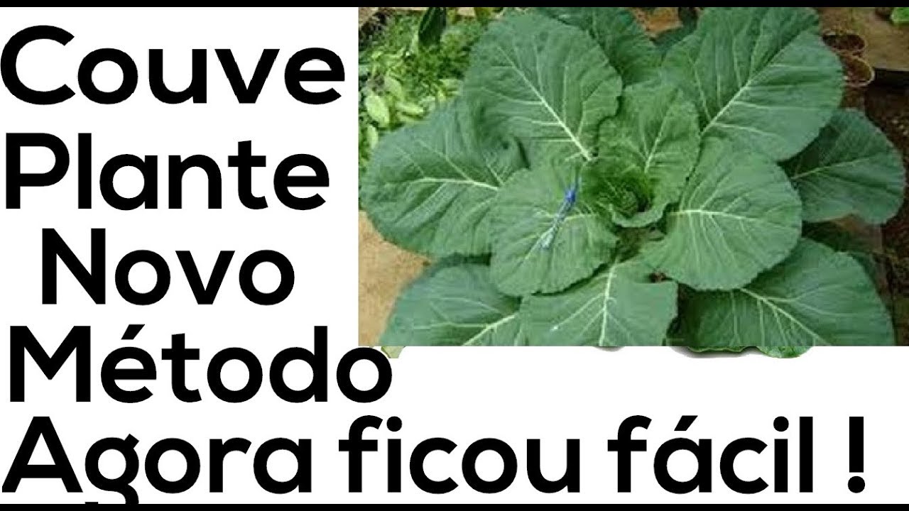 Couve!  Plante por esse novo método! Agora ficou Fácil