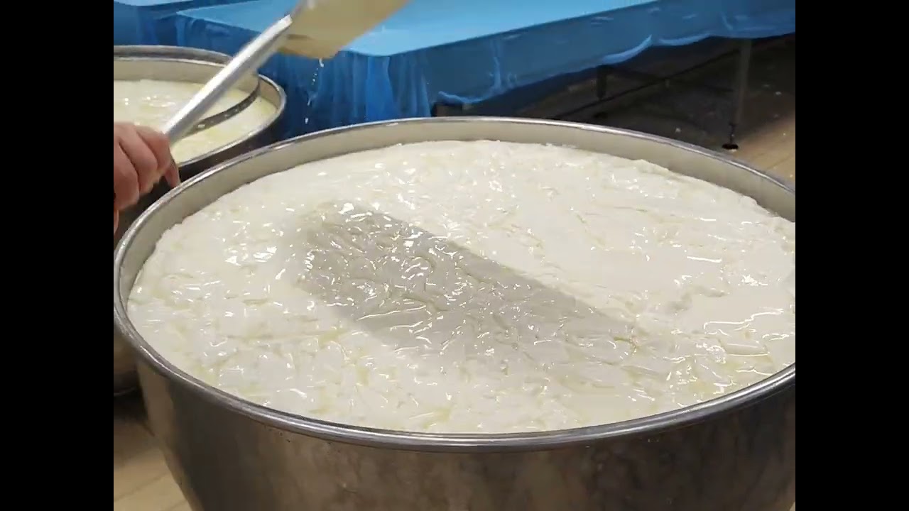 Come si fà il Gorgonzola piccante Latteria di Cameri (NO) III e IV fase @ilmangiaweb