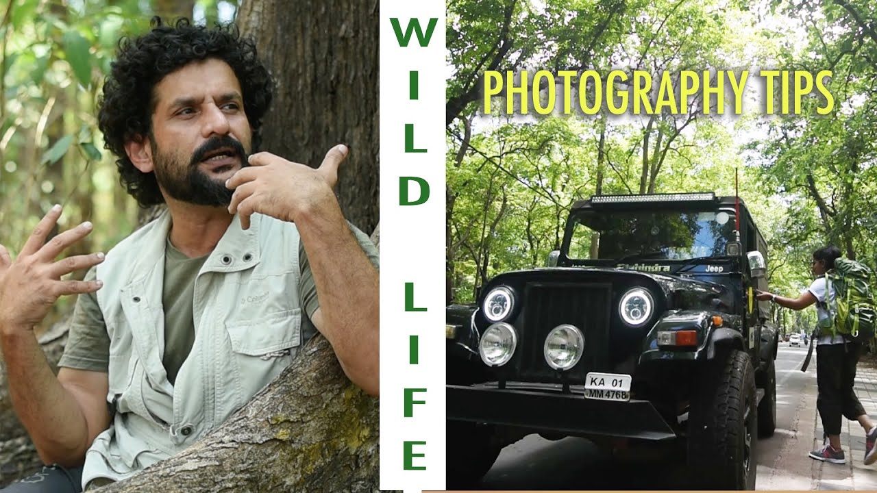 വൈൽഡ് ലൈഫ് ഫോട്ടോഗ്രാഫി tips #wildlifephotography