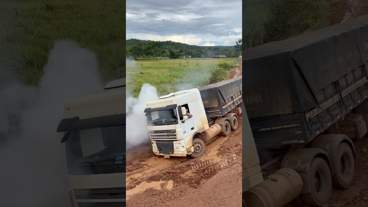 Heavy Rescue: Massey Ferguson & John Deere Tractors Unstuck a Truck #tractor #masseyferguson #agro