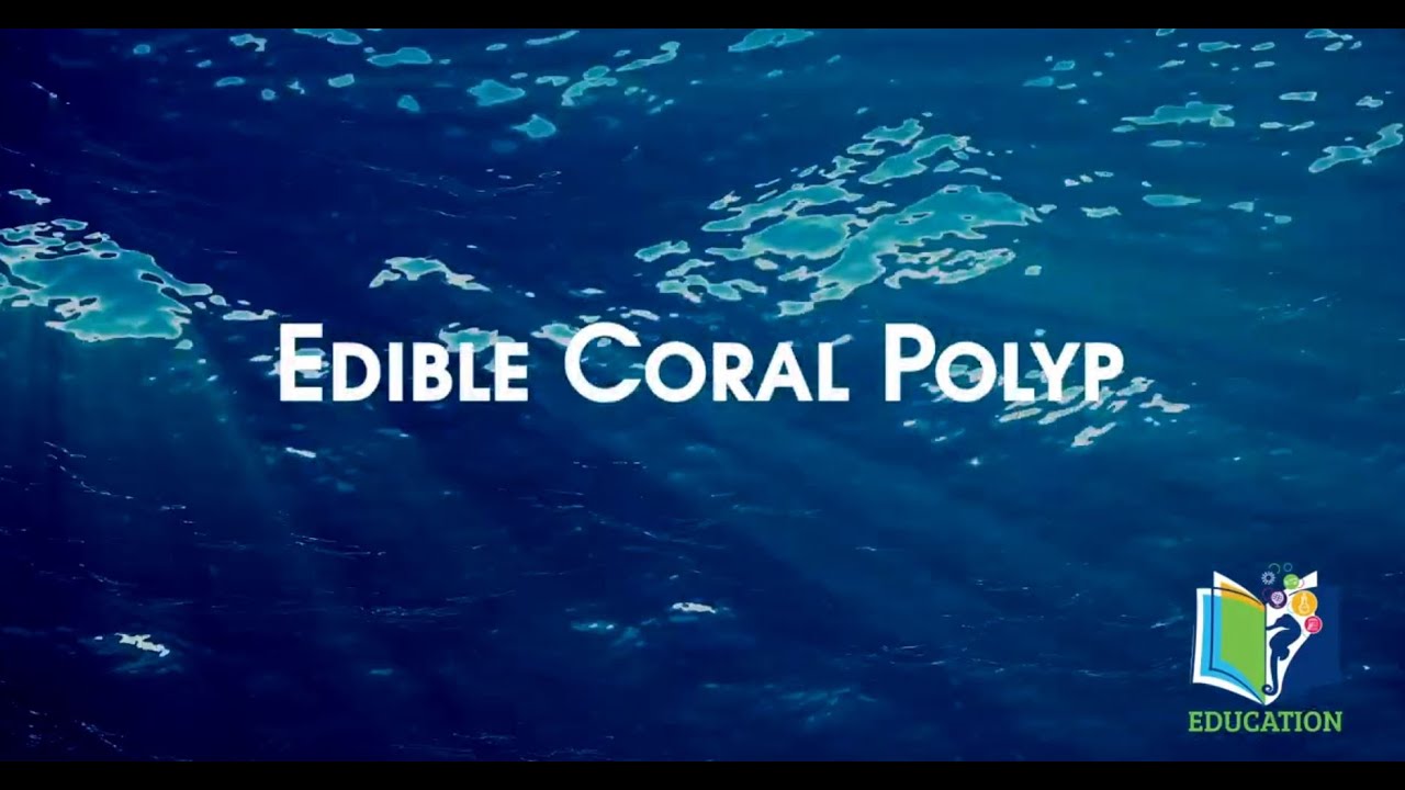 Deep Sea Learning:  Edible Coral Polyps