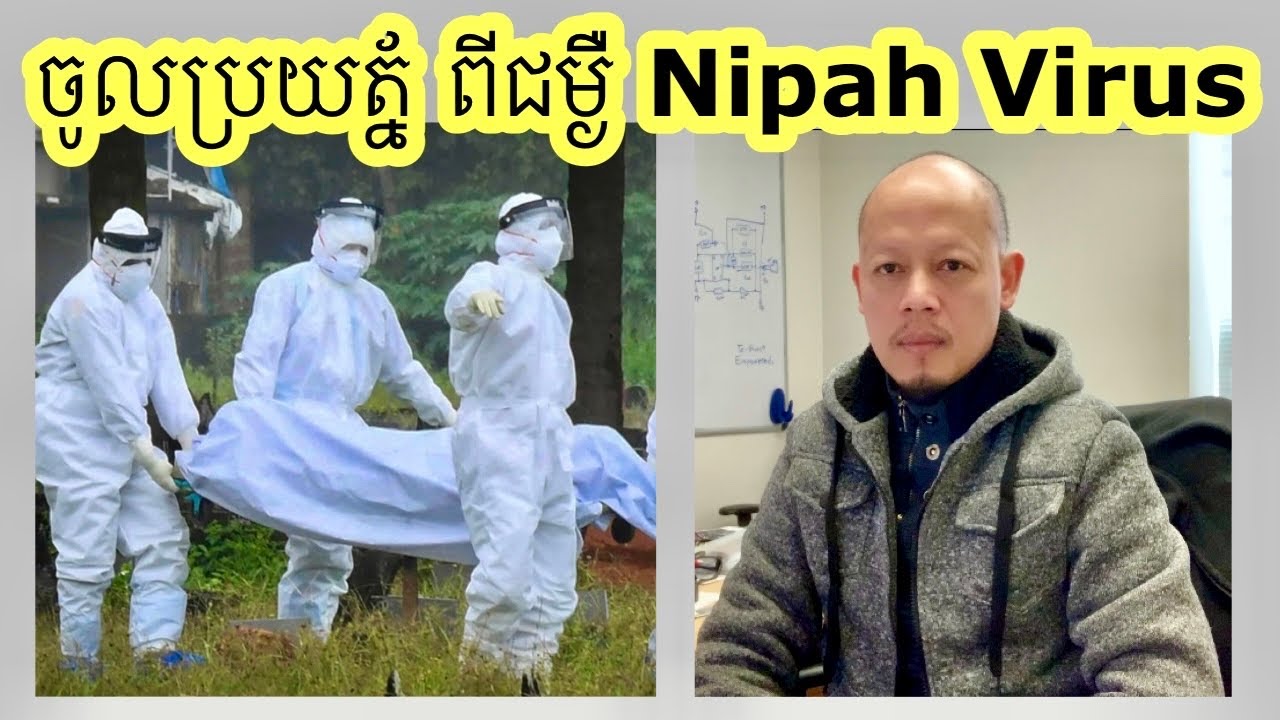 Nipah virus អាត្រានៃការស្លាប់ ខ្ពស់ជាង Covid-19.  ផ្អាកការហូបផ្លៃឈើឬទឹកផ្លែឈើមួយនេះសិនទៅ។