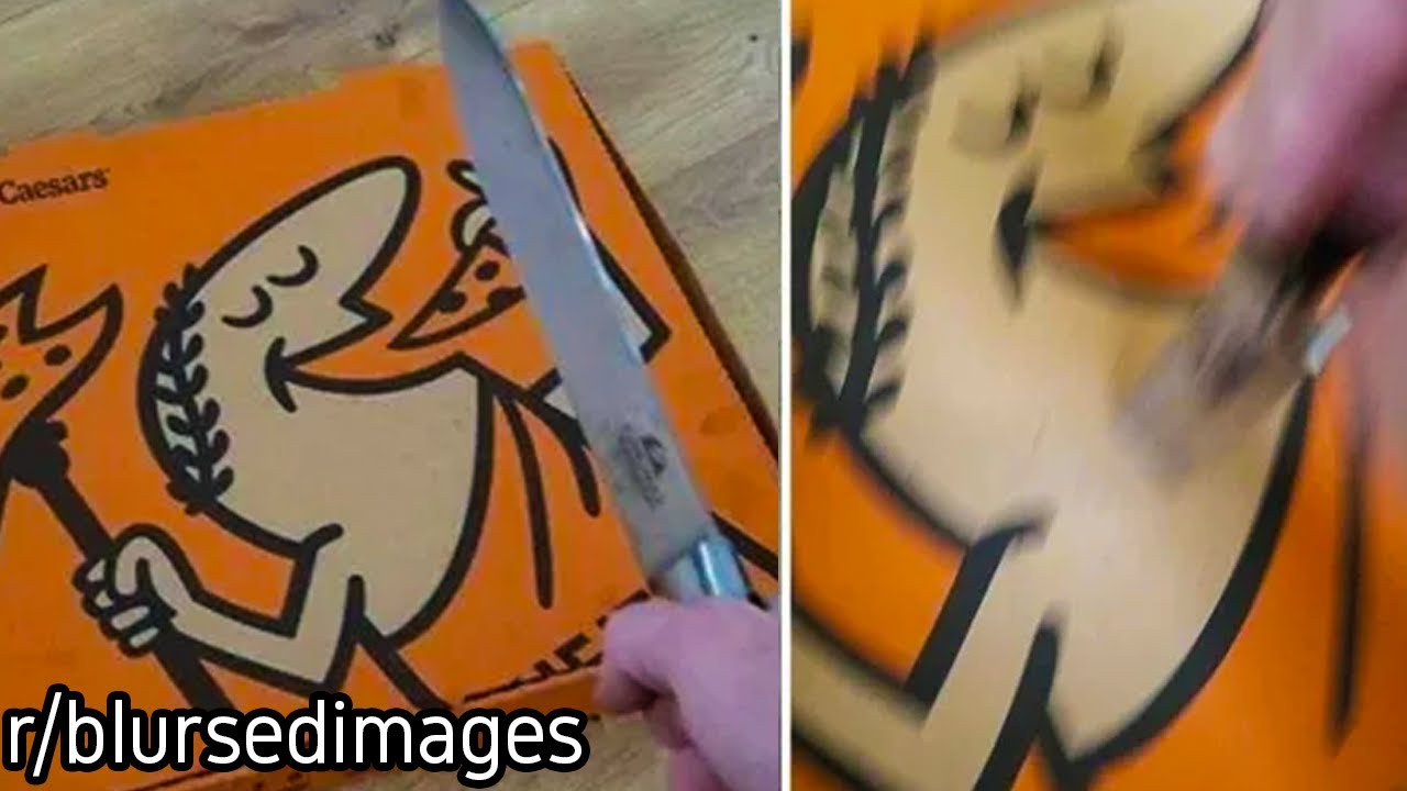 r/blursedimages | OH NO,, CAESAR!!