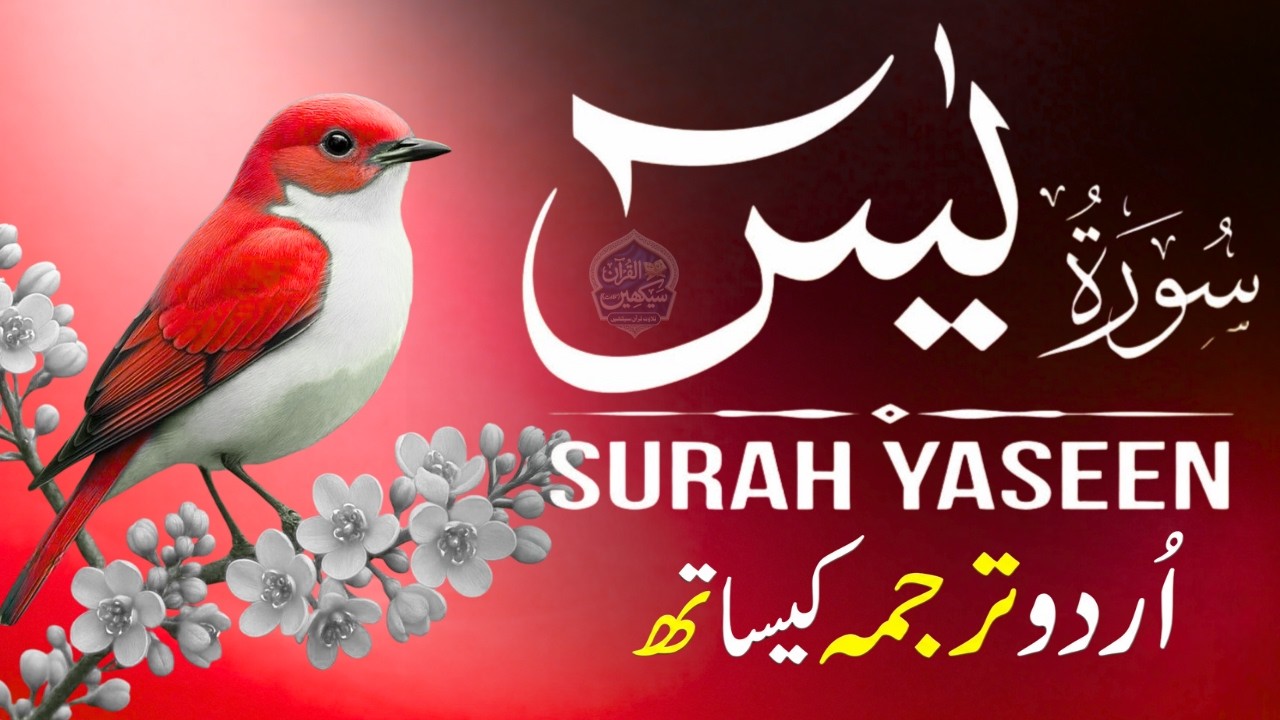 Surah Yaseen with Urdu Translation | Emotional Recitation by Qari Mansoor Ghaznavi | Ep043