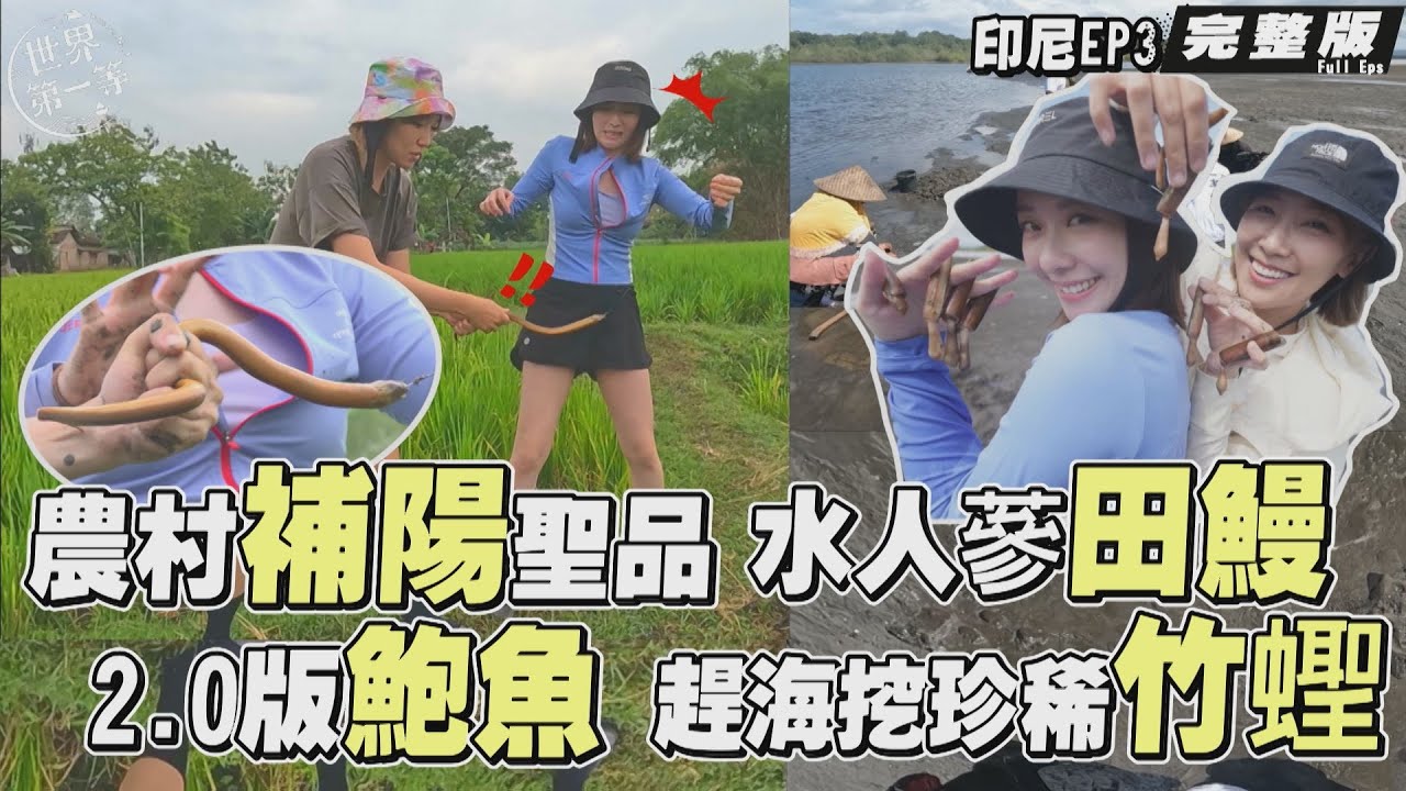 【印尼】李懿 張景嵐｜達人帶路 趕海挖珍稀竹蟶/釣野生粗肥田鰻/百年雞湯飯/漁村行動美妝店《世界第一等》1118集完整版 Full EP.1118 EngSub eel razor clam