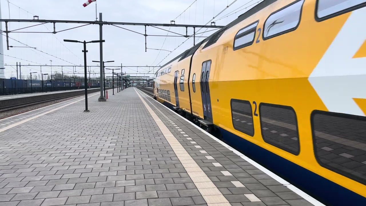 Flow virm en Dubbele Virm-4 op lage zwaluwe (Donderdag 19 februari)