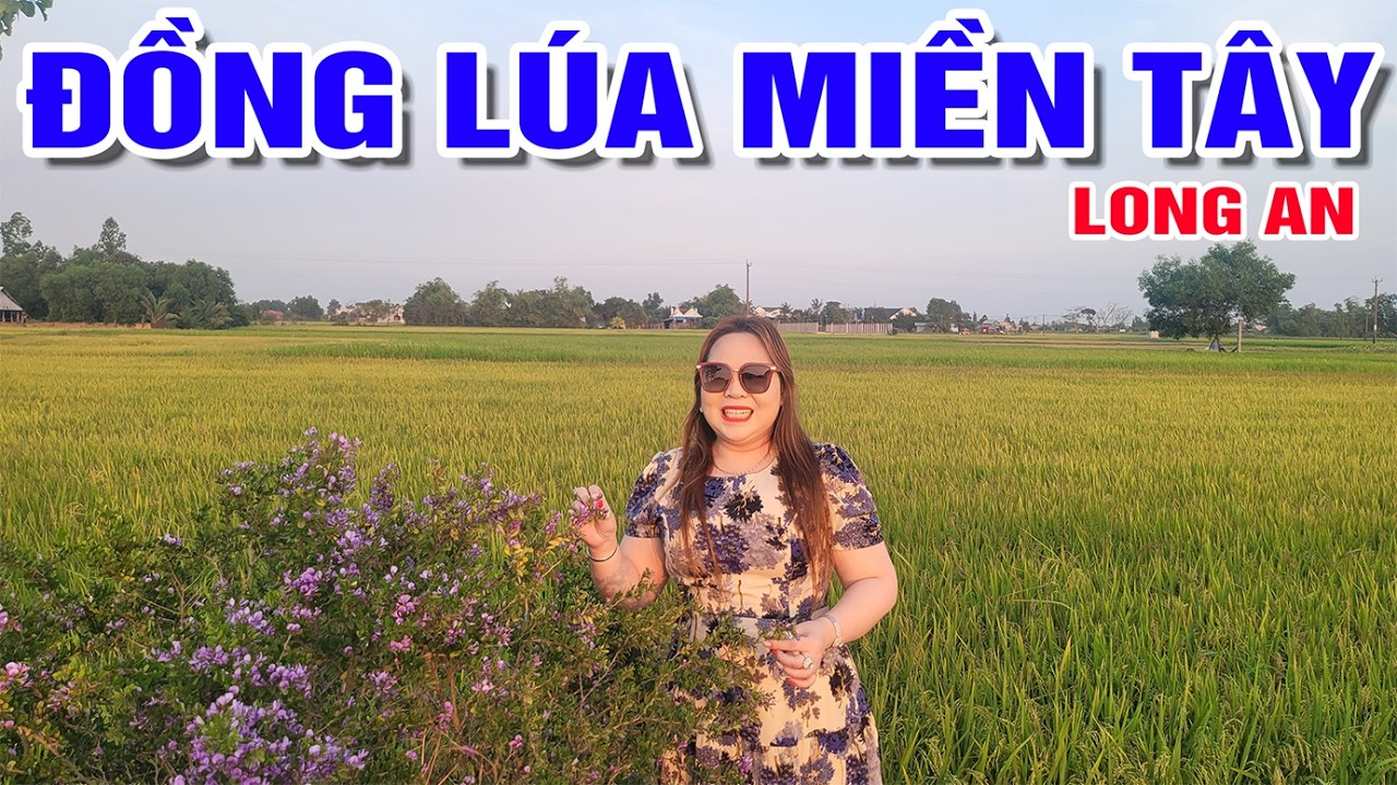 Thăm thú ngắm cảnh đồng múa miền tây