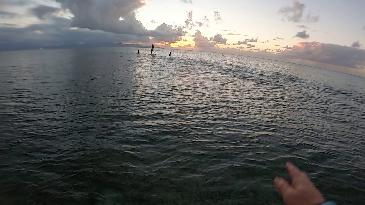 sunset pursuit with gong foil and Ordgy board as instruments