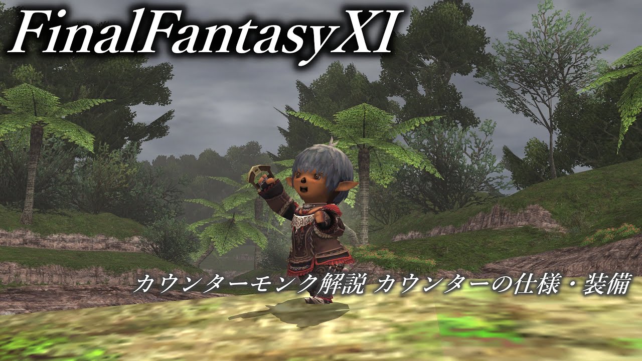 【FF11】 カウンターモンク解説 カウンターの仕様・装備