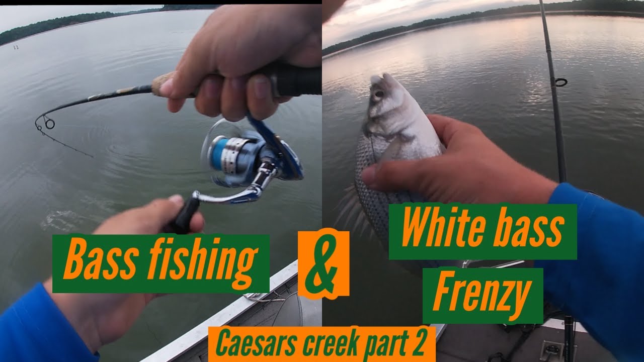 Bass Fishing During White Bass Feeding Frenzy! Caesars Creek Ep.2