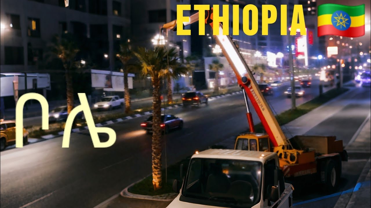 POV: Planting a palm tree in the heart of the city at night in Africa | Addis Ababa | Ethiopia 🇪🇹 