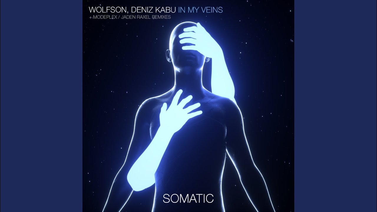 In My Veins (Original Mix)