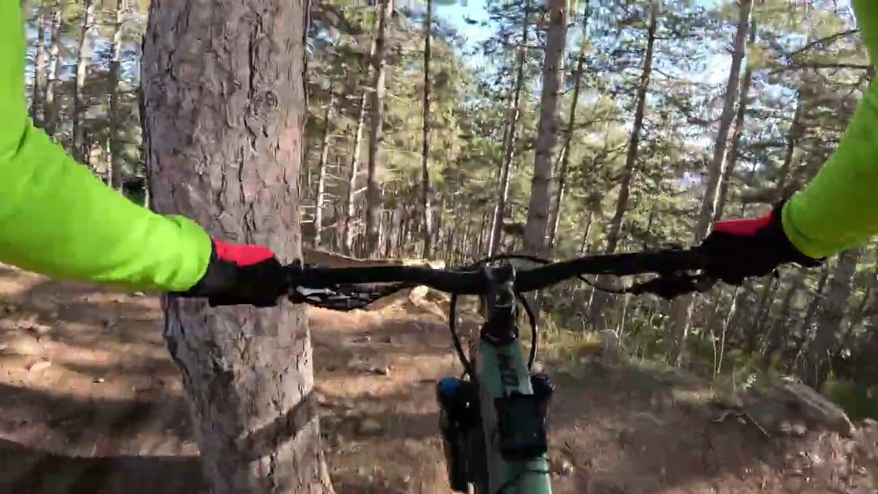 Snake Trail completa 11-01-26