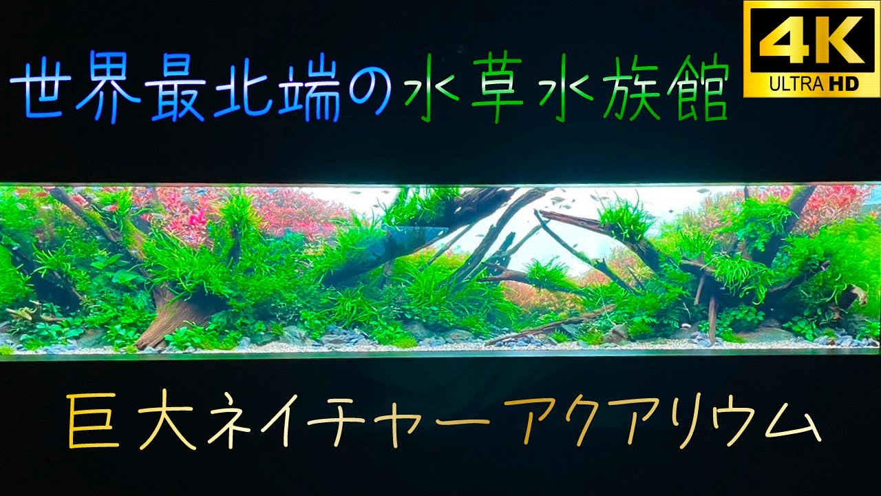 【巨大水草水族館】AOAO SAPPOROオープン前に先取り潜入！in地球39