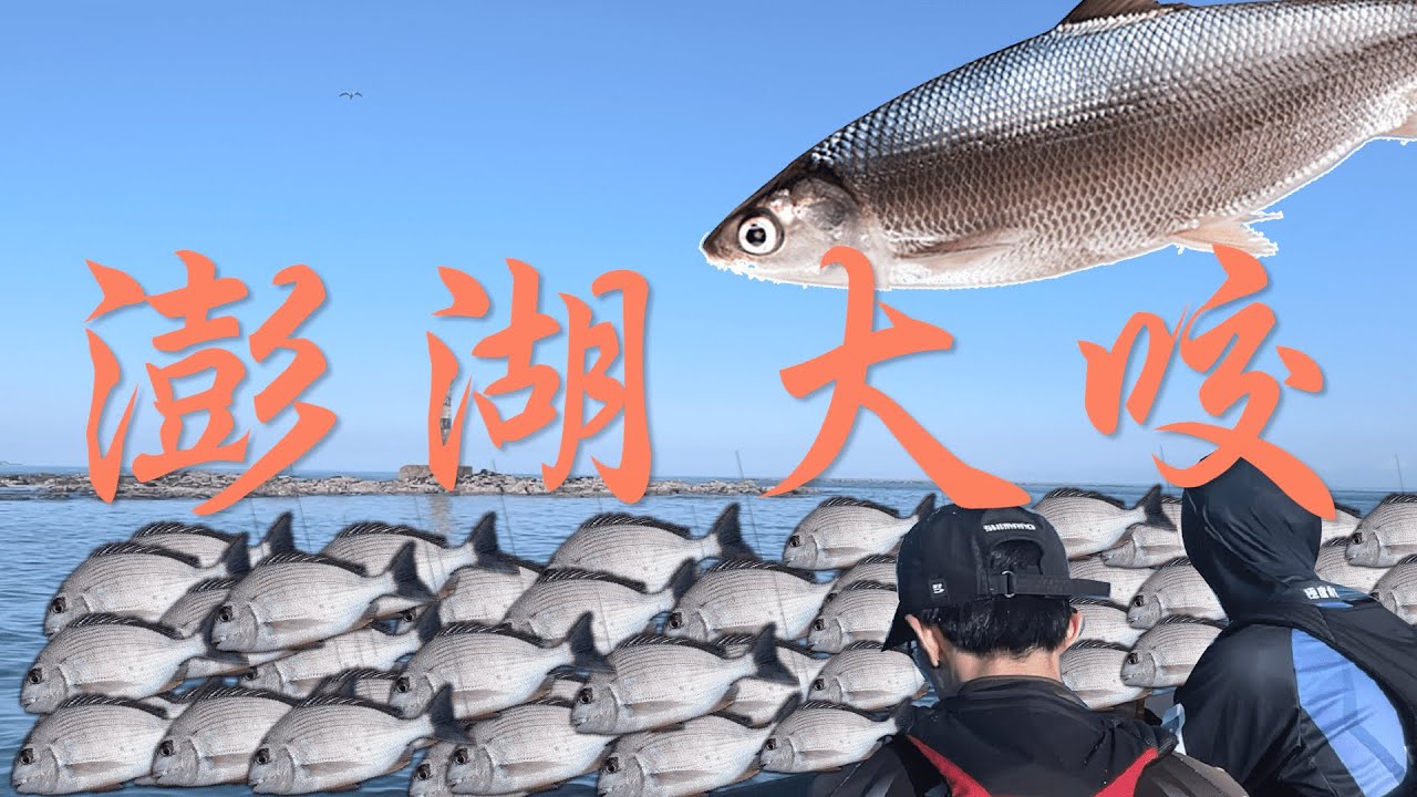超熱，魚還是很多｜澎湖上礁
