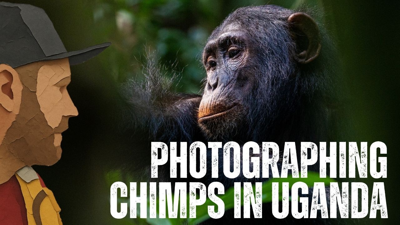 A Photography Dream Come True