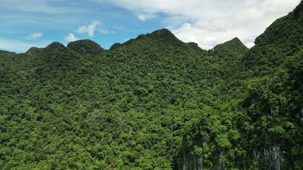 Phong NHA, Bố Trạch, Quảng Bình 47257, Vietnam 1