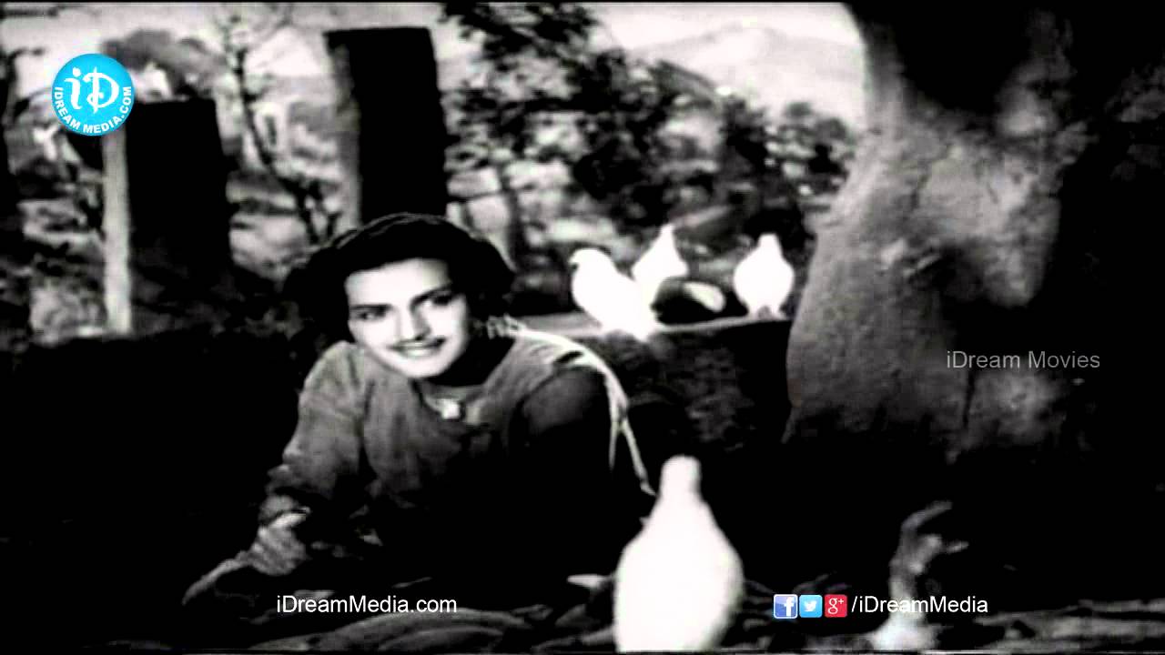 Kothi Baavaku Pellanta Song - Malleswari Movie Songs - NTR, Bhanumathi
