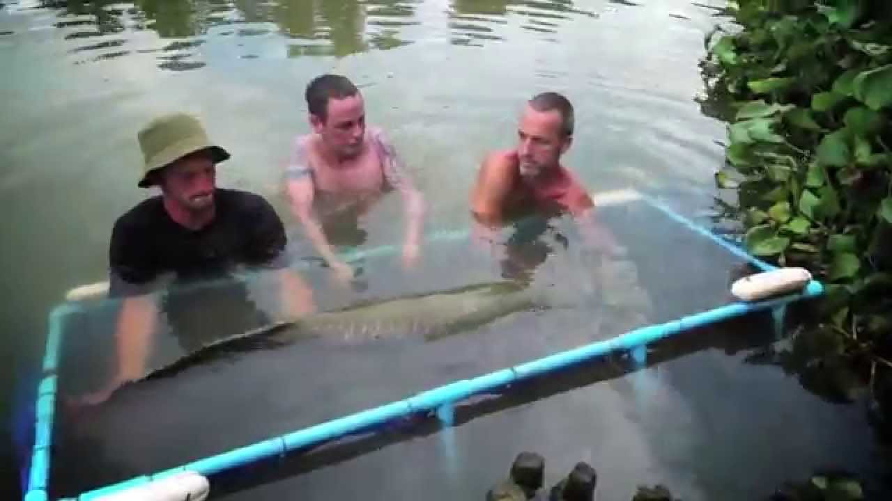 Gillhams fishing resorts promo
