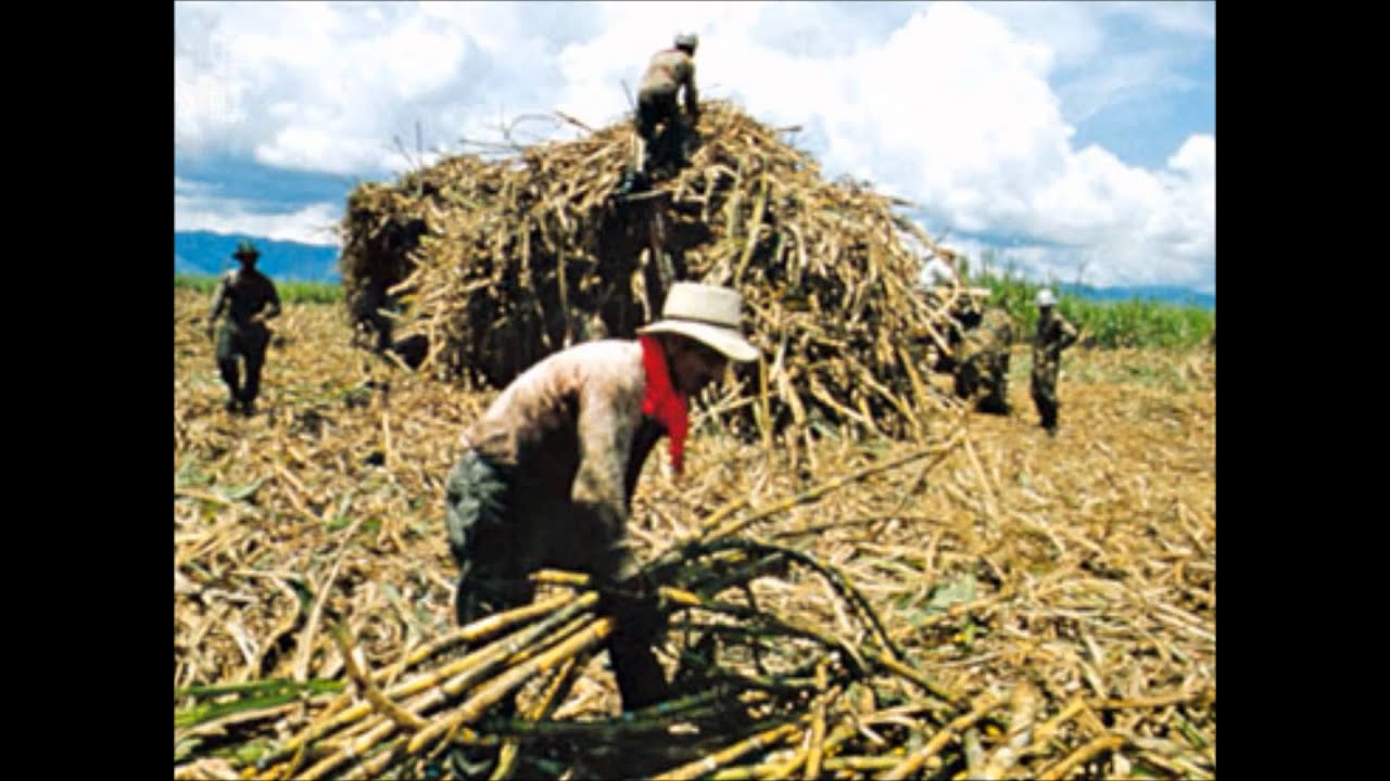 Himno al Valle del Cauca