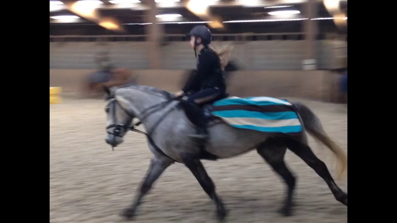 Poneys de sport... mais pas que!!  :)