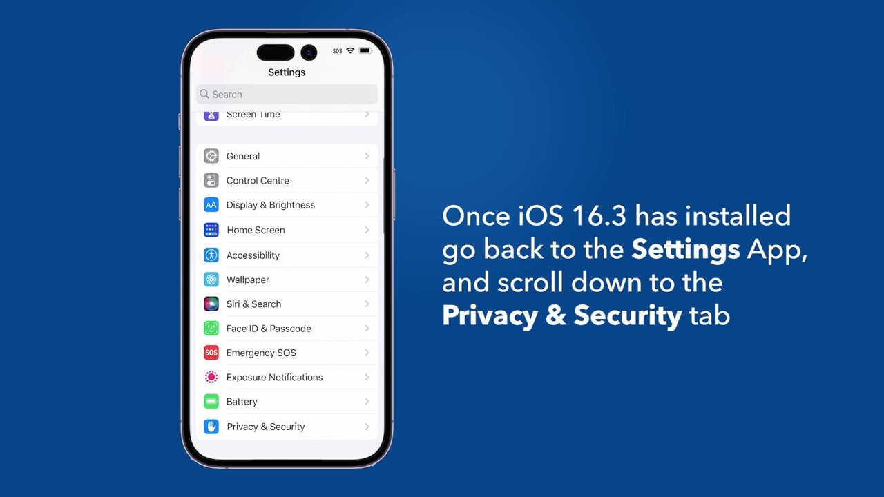 How to enable iOS Local Network