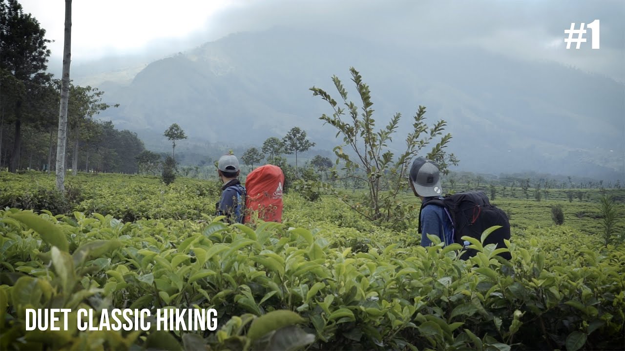 Sabana atau Puncak Lincing? Gunung Arjuno via Lawang #1