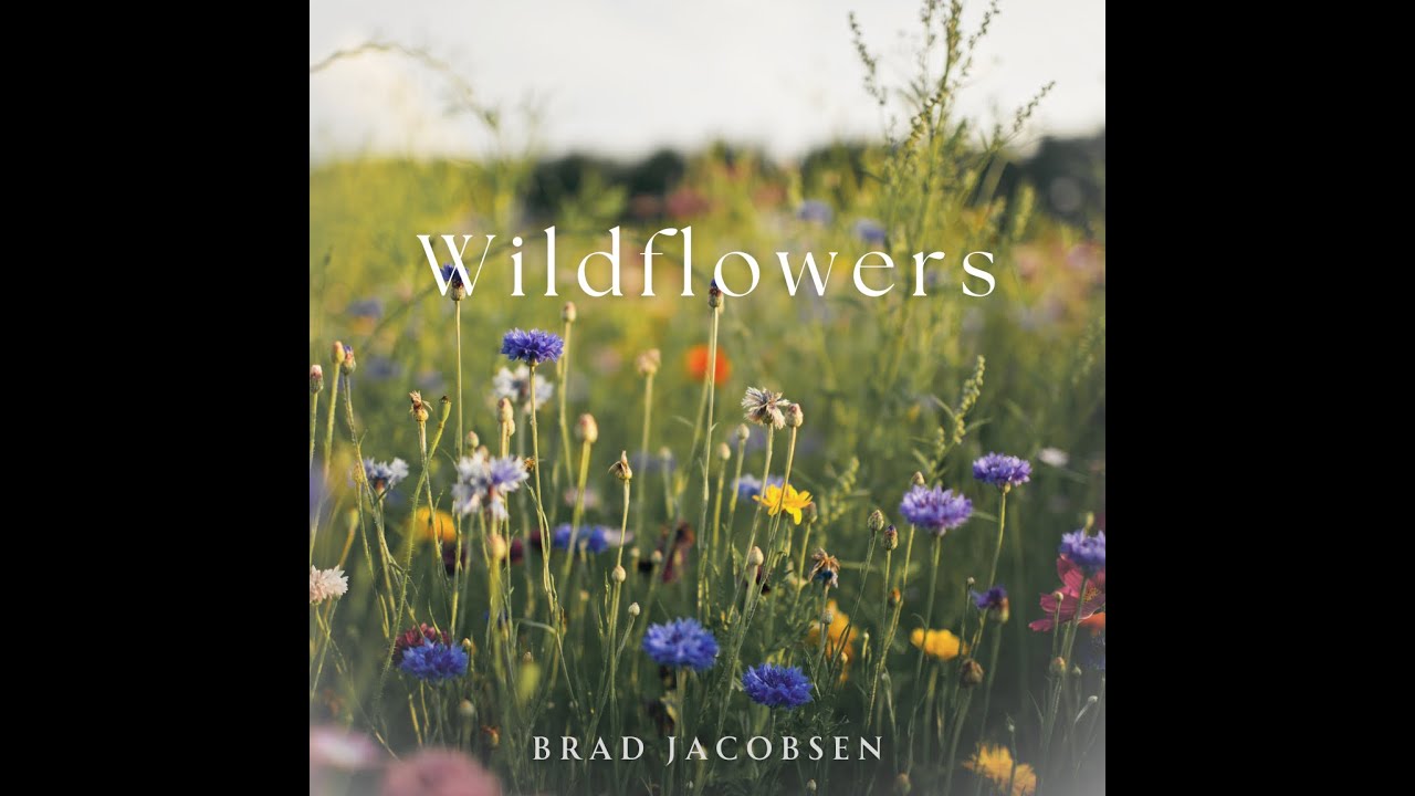 Wildflowers by Brad Jacobsen